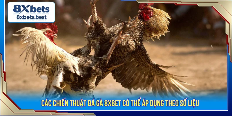Đá gà 8XBET chiến thuật thông minh