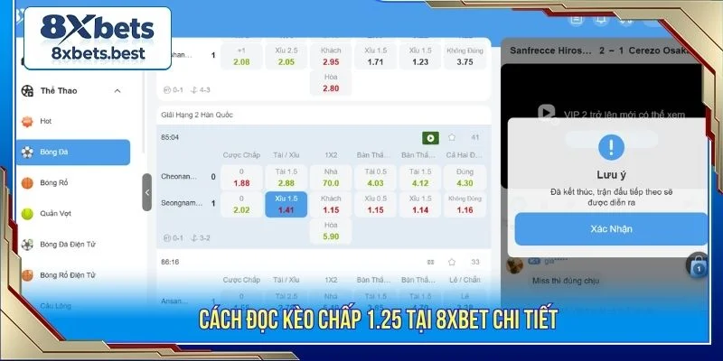 Hướng dẫn cách đọc kèo chấp chi tiết cho người mới