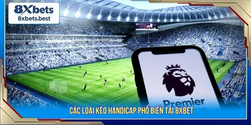 Tổng hợp các loại kèo phổ biến tại 8XBET