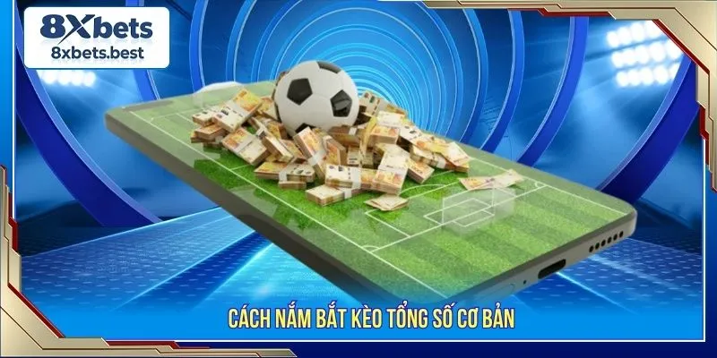 Cách nắm bắt kèo tổng số cơ bản